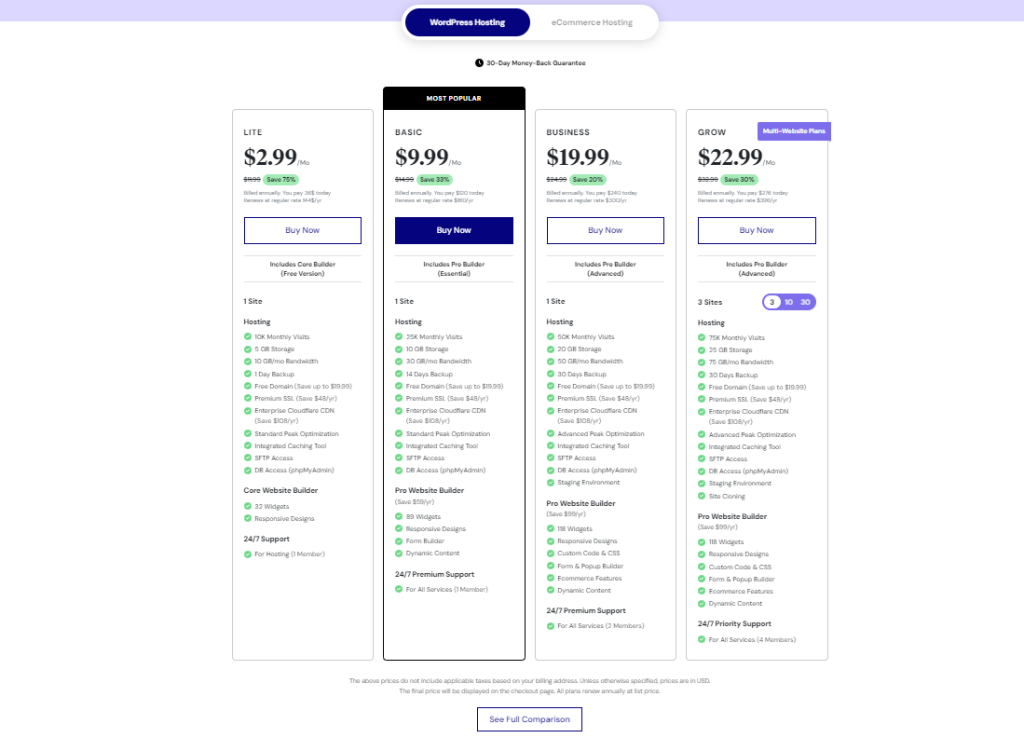 Elementor expert in Bangladesh